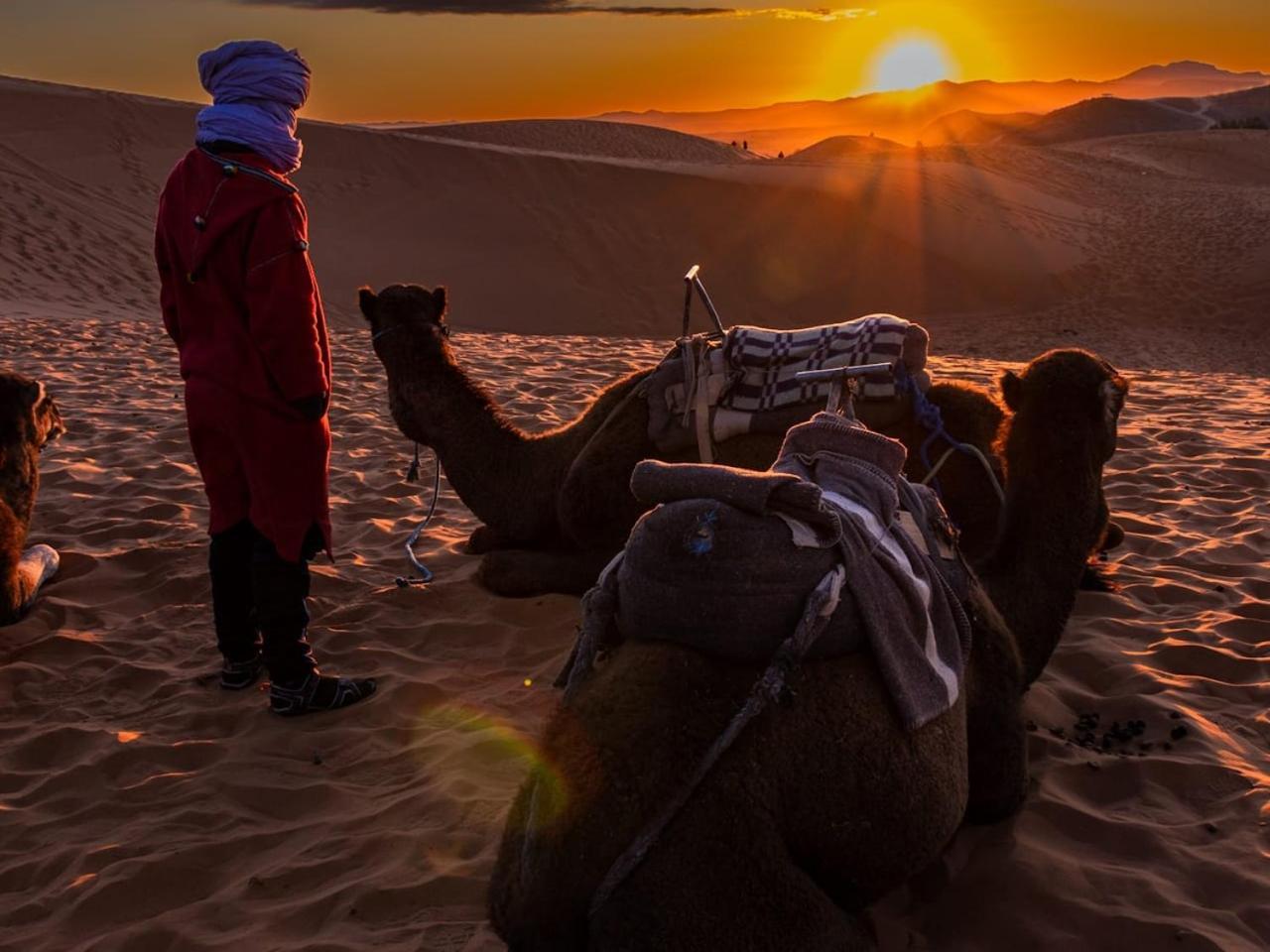 Camp Under Stars (Adults Only) Hotel Merzouga Buitenkant foto