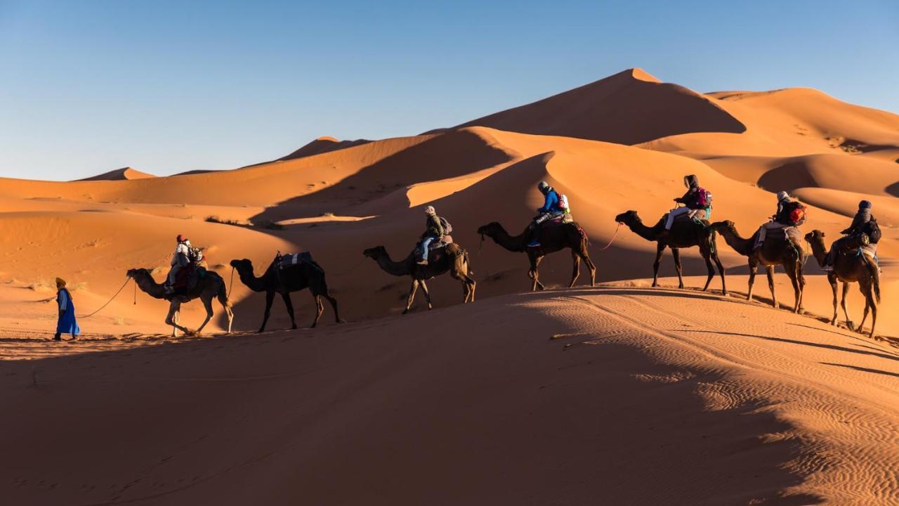 Camp Under Stars (Adults Only) Hotel Merzouga Buitenkant foto
